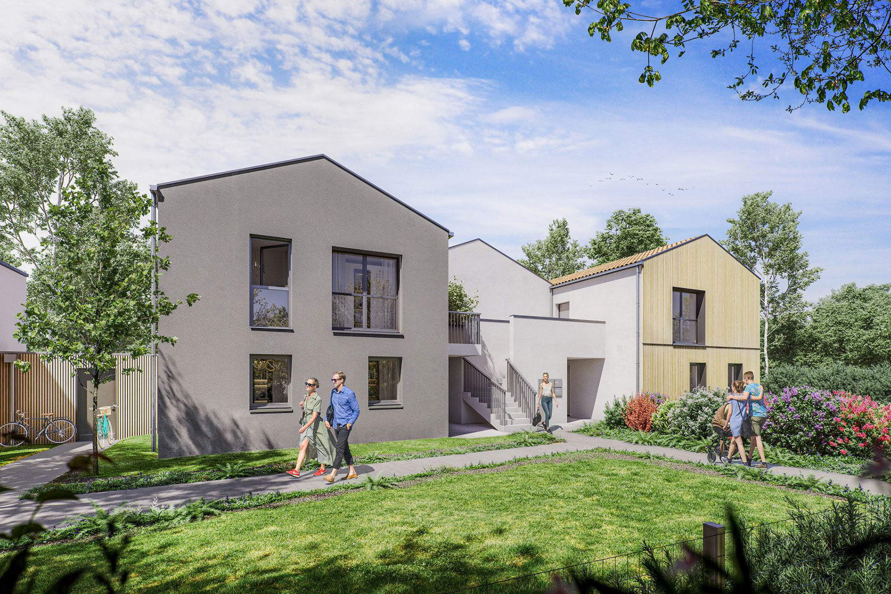 62m²