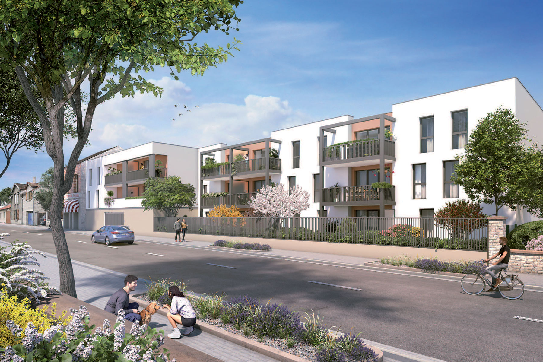 61m²