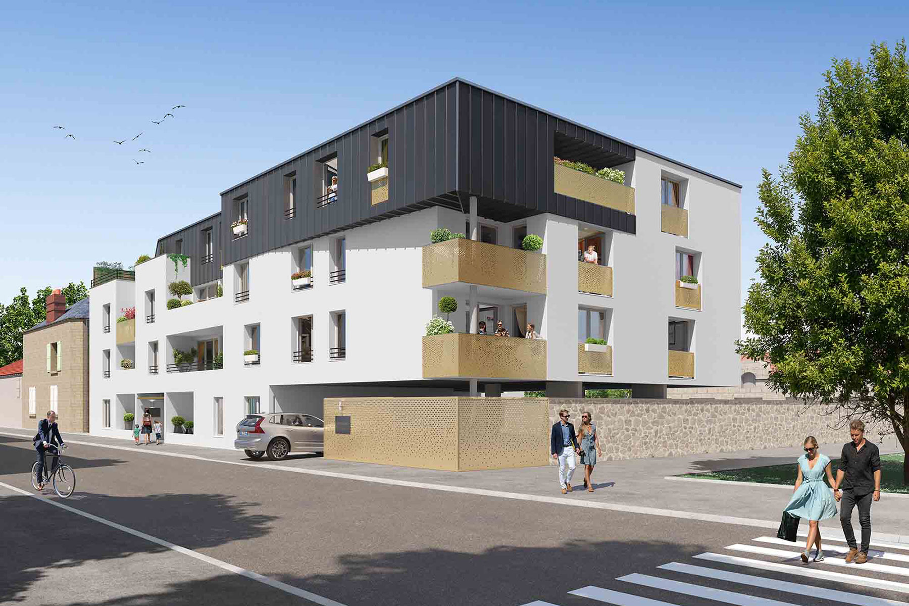 43m²