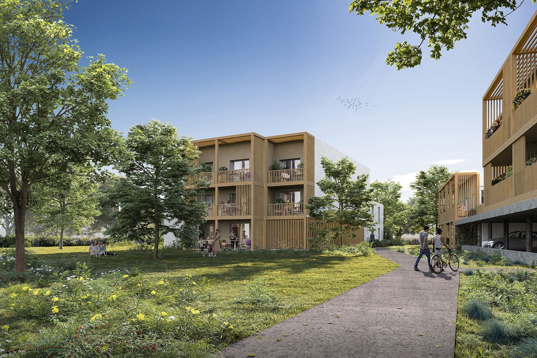 37m²