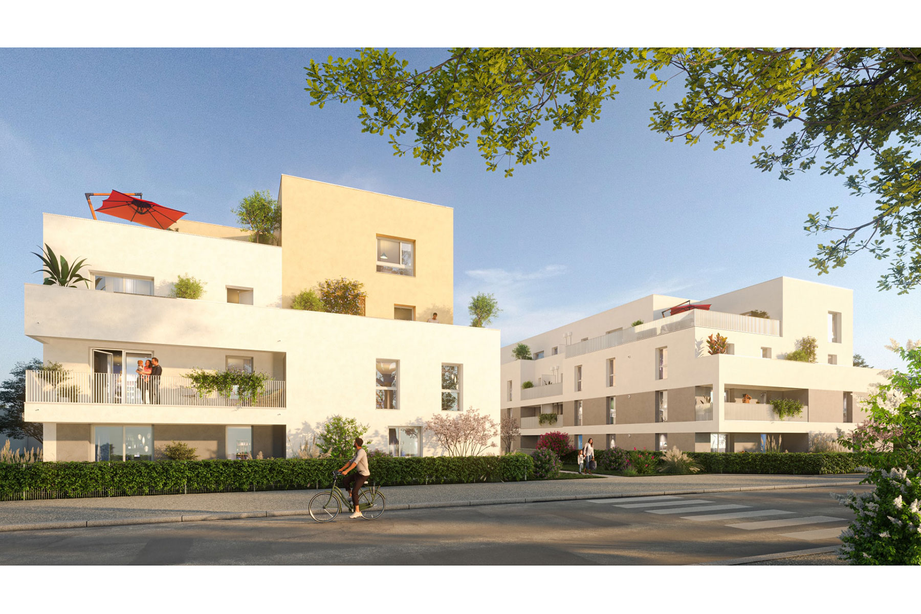 62m²