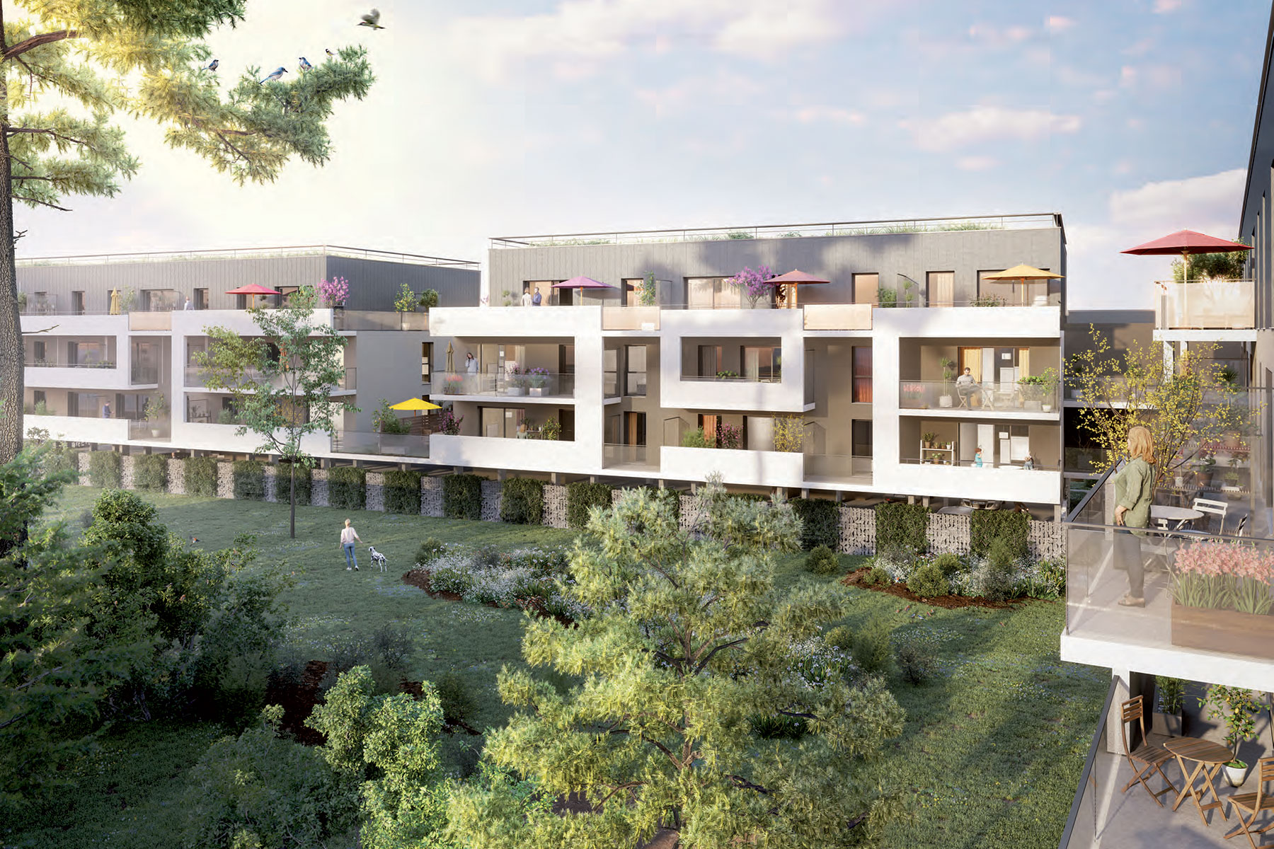 37m²