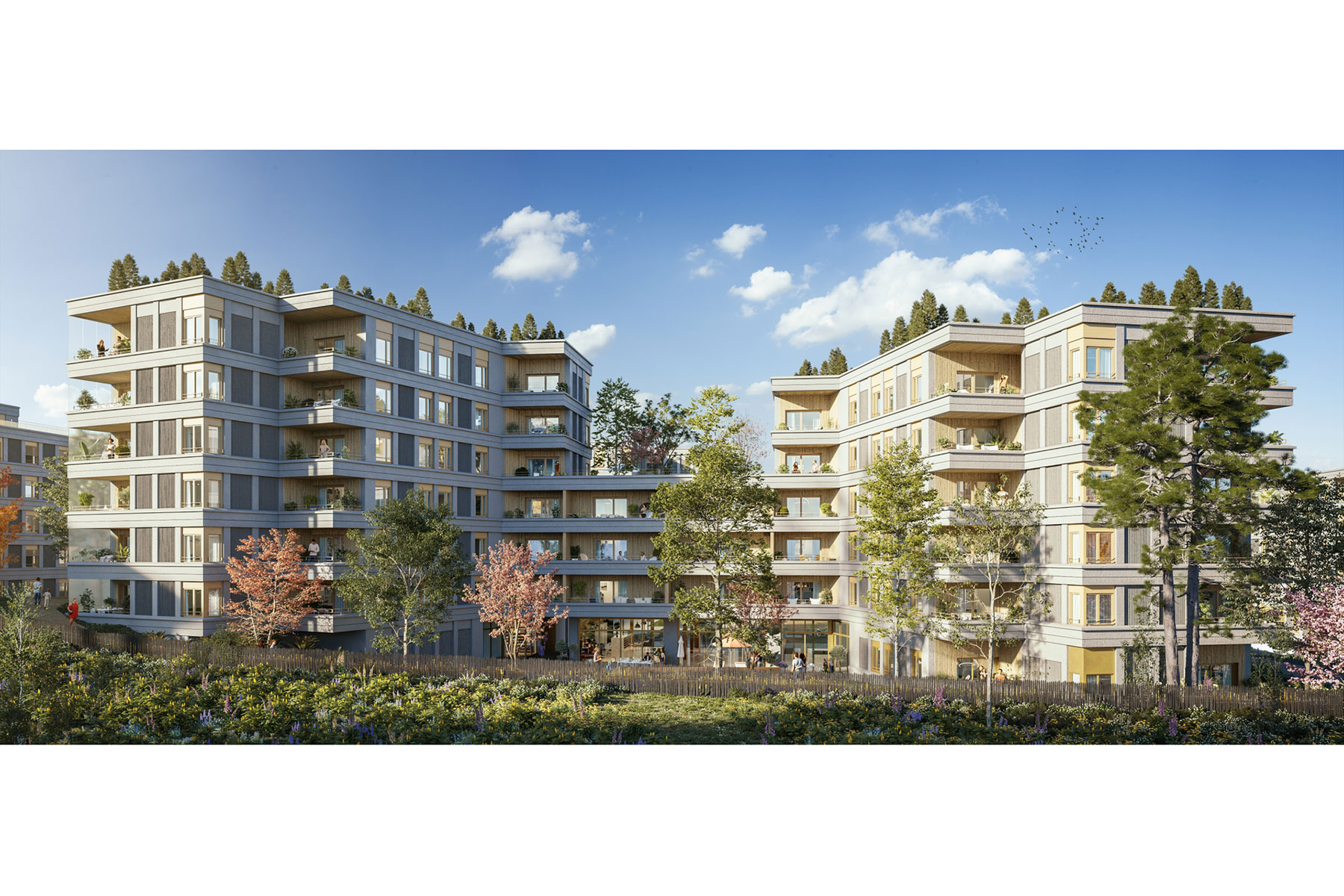 62m²