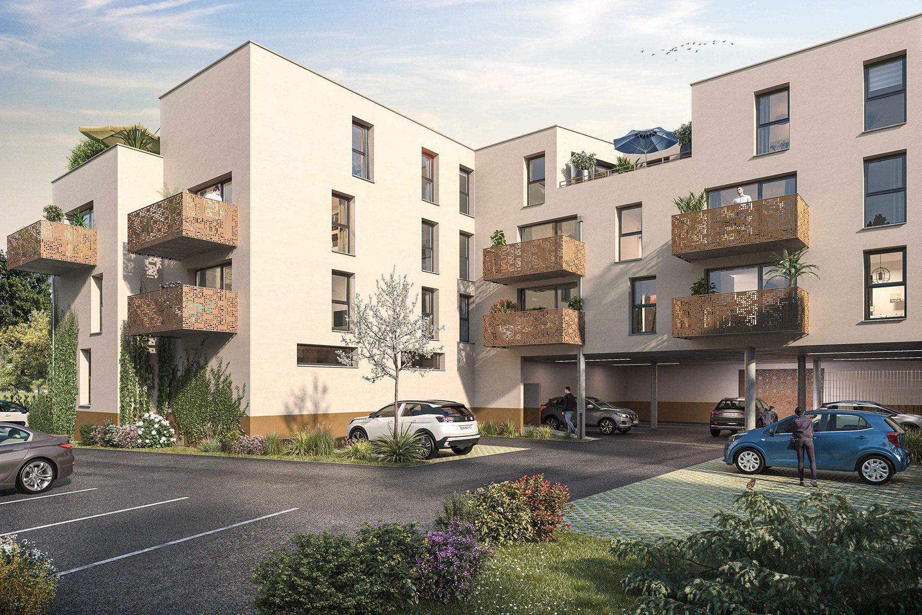 53m²
