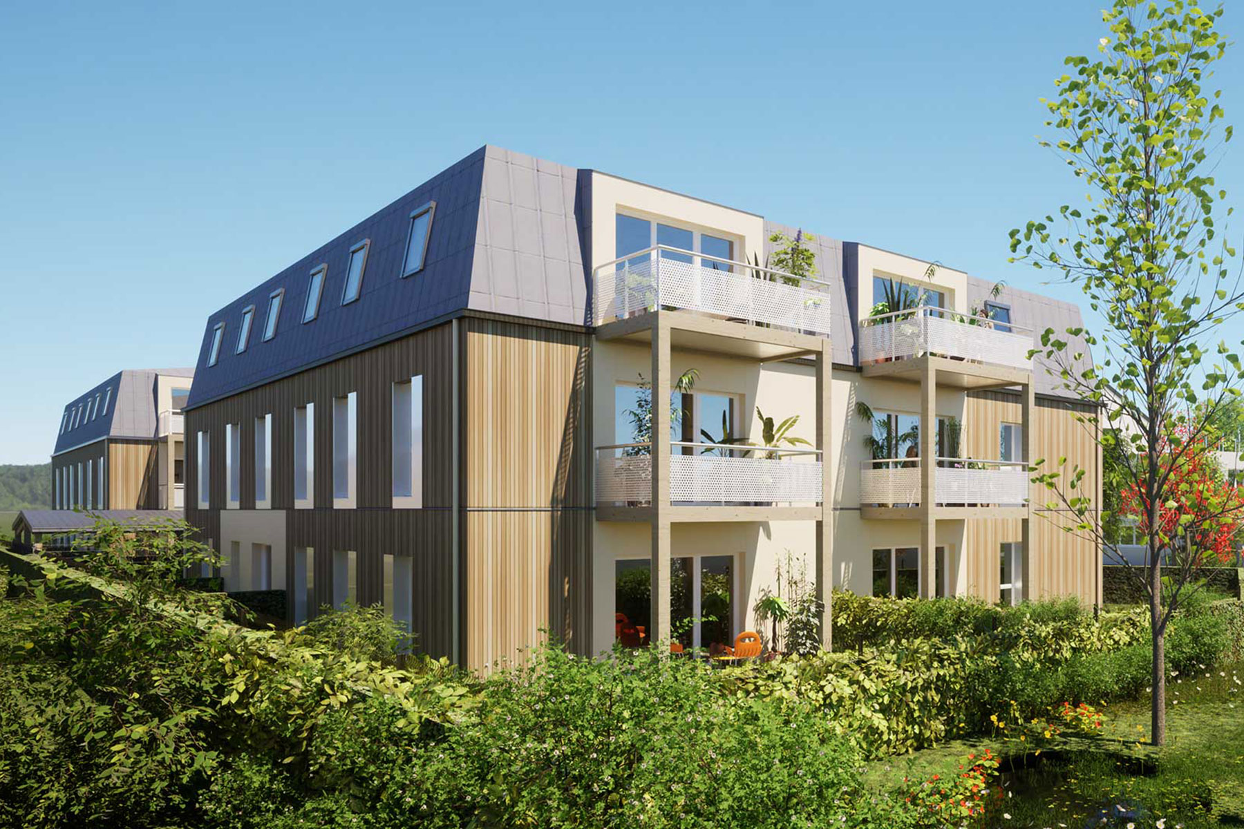 29m²